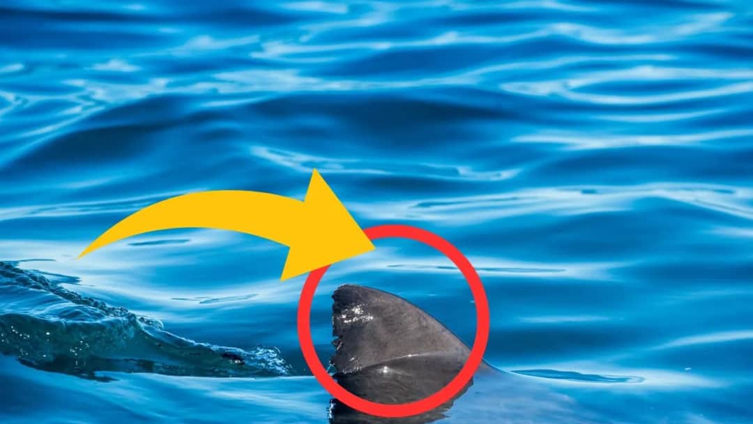 Czy na Kos jest bezpiecznie? Fakty, zagrożenia i porady dla turystów