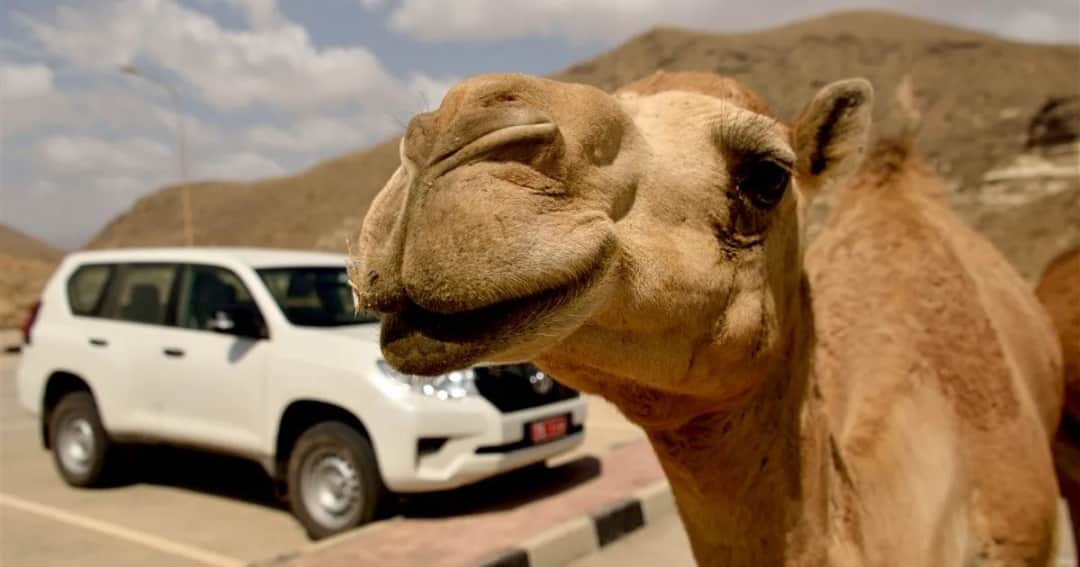 Czy w Omanie jest bezpiecznie? Fakty o bezpieczeństwie i zagrożeniach